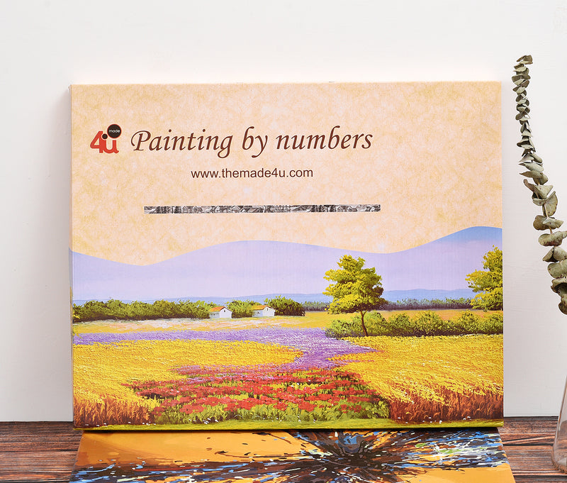Buy One Get One Free - Two Sets of MADE4U Large Paint by Numbers Kits