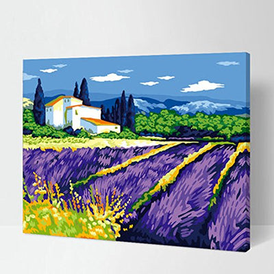 Made4u [ 20" ] [ Wood Framed ] Paint By Numbers Kit for Adult ( Lavender Manor HHGZG247 )
