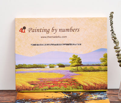[ CA stock clearance ] Made4u [ 20" ] [ Wood Framed ] Paint By Numbers Kits