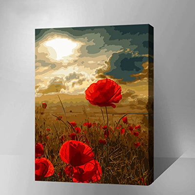 Made4u [ 20"  [ Wood Framed ] Paint By Numbers Kit for Adult ( Poppies G448 )