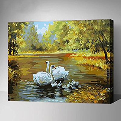 Made4u [ 20"  [ Wood Framed ] Paint By Numbers Kit for Adult HHGZG312-XL