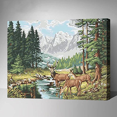 [ US stock clearance ] Made4u [ 20" ] [ Wood Framed ] Paint By Numbers Kits